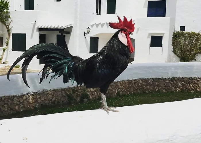 Apartamento En Poblado De Pescadores Vell * Binibeca