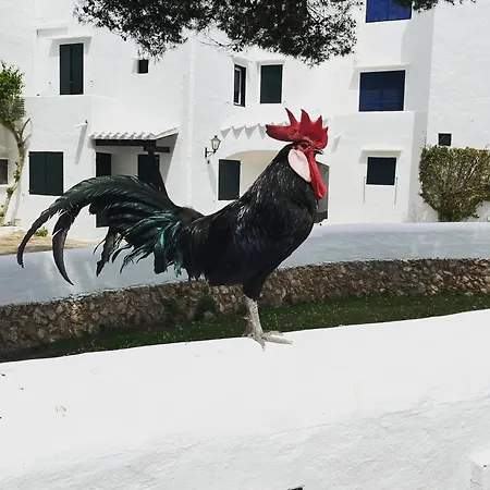 Apartamento En Poblado De Pescadores Vell * ביניבקה